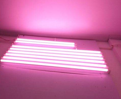 Pink tub T8 15W