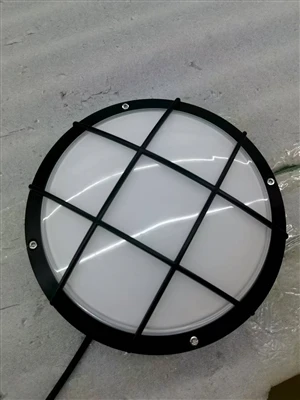Lampa de perete interioară în formă și funcție